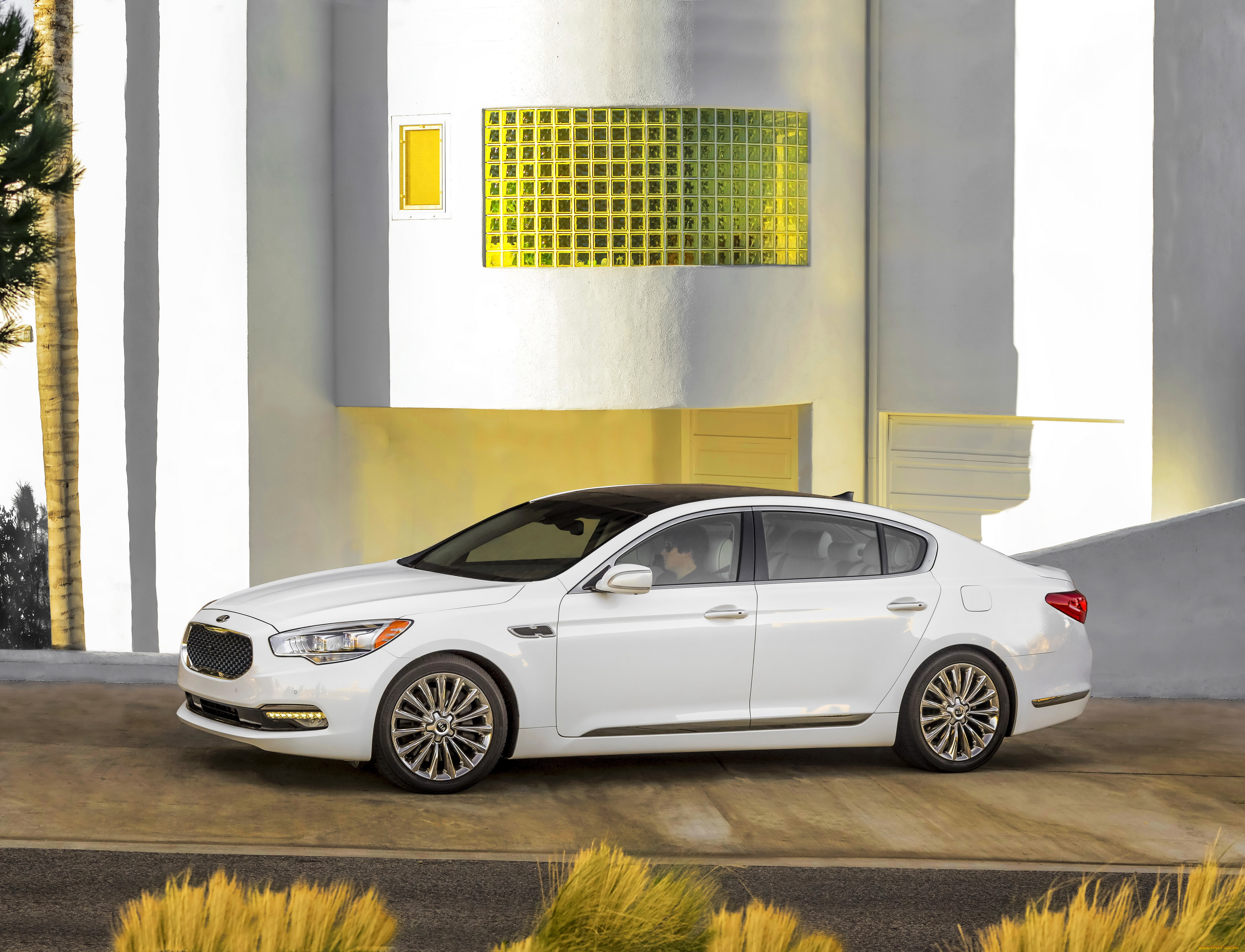 2014 kia   k900, , kia, 